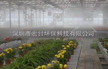 温室大棚花卉栽培喷雾加湿工程