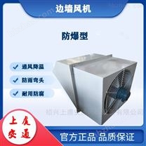 BDWEX-500EX防爆低噪音邊墻式事故風(fēng)機(jī)