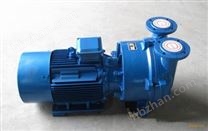 水環(huán)式真空泵