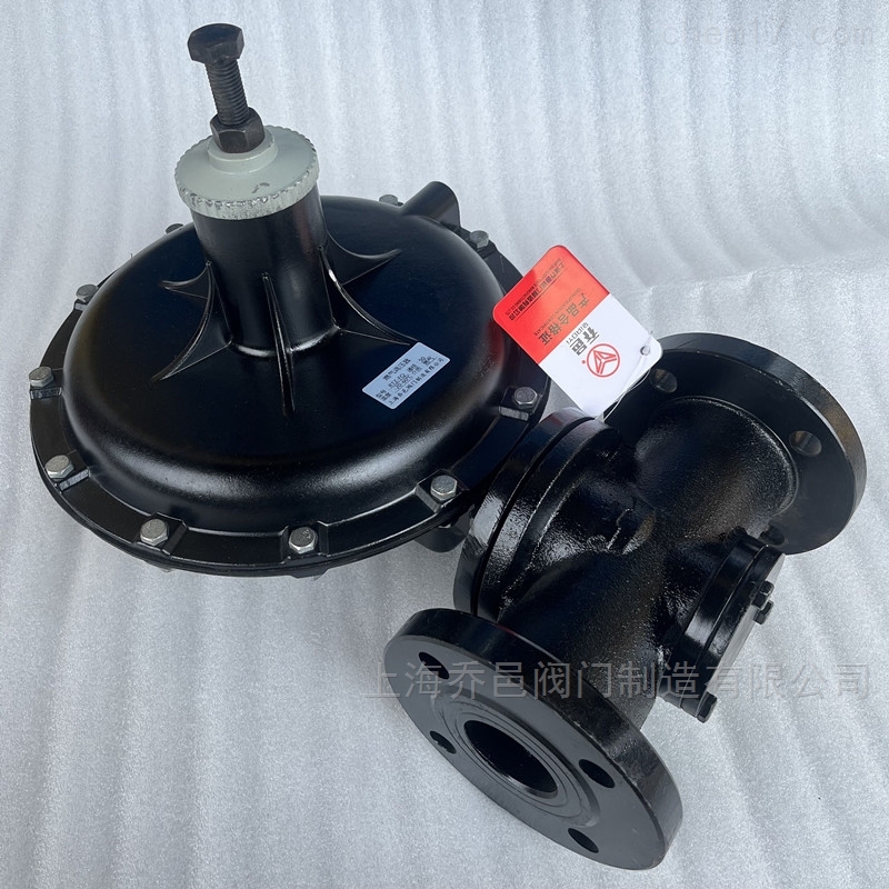 <strong>RTZ-FQ天然气调压器</strong>